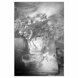 Gilles Le Dez, plante-noeud,  x cm, techniques mixtes, papier, 1985