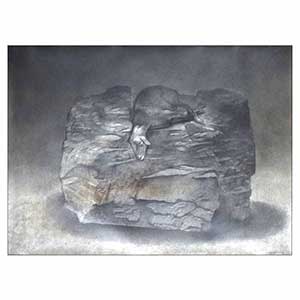 Gilles Le Dez, rocher-sacrifice,  x cm, techniques mixtes, papier, 1985
