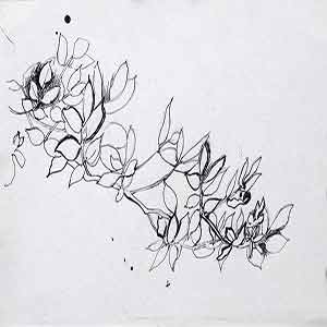 Gilles Le Dez, branche-pecher,  x cm, techniques mixtes, papier, 1995