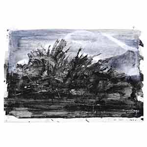 Gilles Le Dez, bordure-champ-haie, techniques mixtes, papier, 2012.